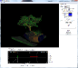 bonsai3.png