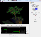 bonsai4.png